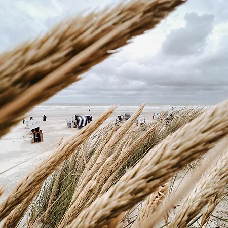 Nordstrandperle Ap S5 *