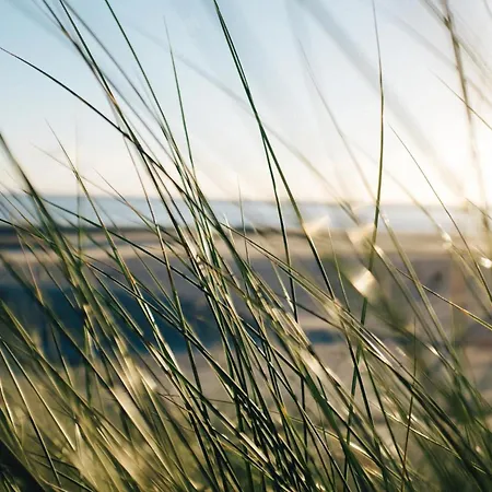 Appartamento Nordstrandperle Ap S5 *